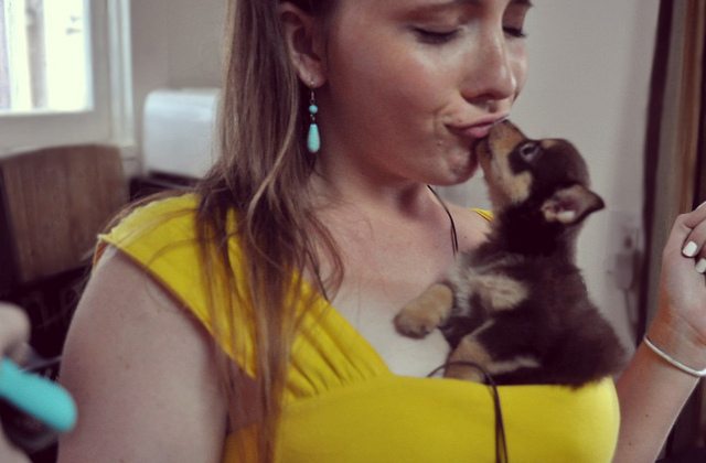 24-cute-animal-moments-with-owners