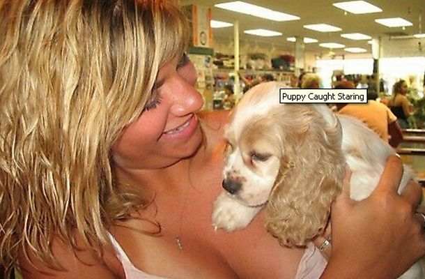 3-cute-animal-moments-with-owners