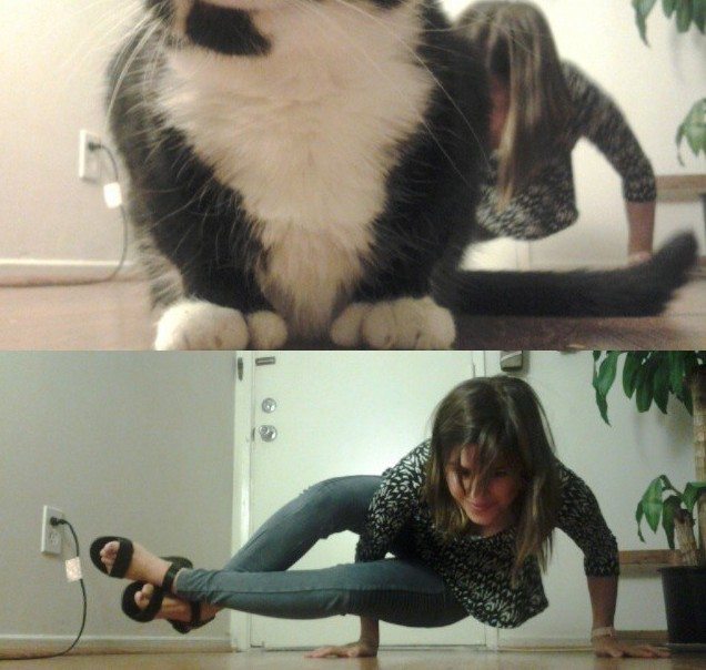 4-animal-photobombs-that-made-pics-even-more-hilarious