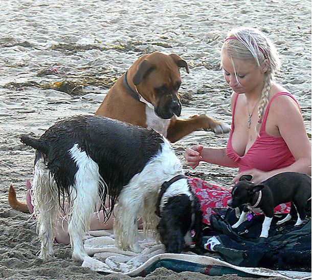 4-cute-animal-moments-with-owners