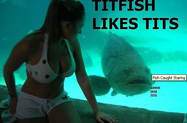 5-cute-animal-moments-with-owners