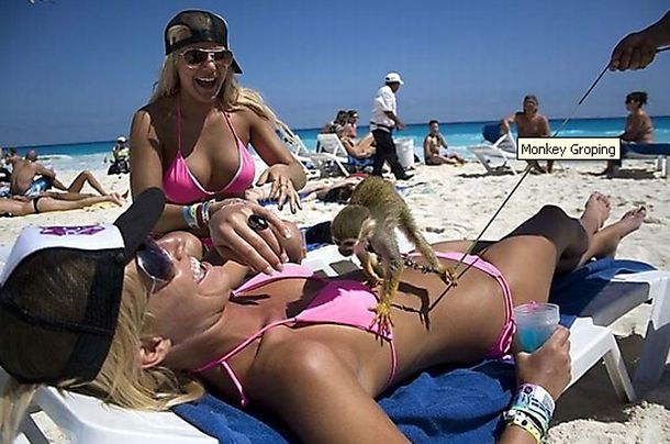 6-cute-animal-moments-with-owners