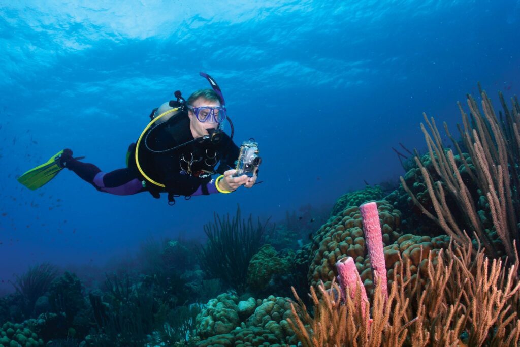 Diving in the same sea for 30 years