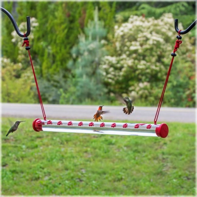 inventions-for-animals-1