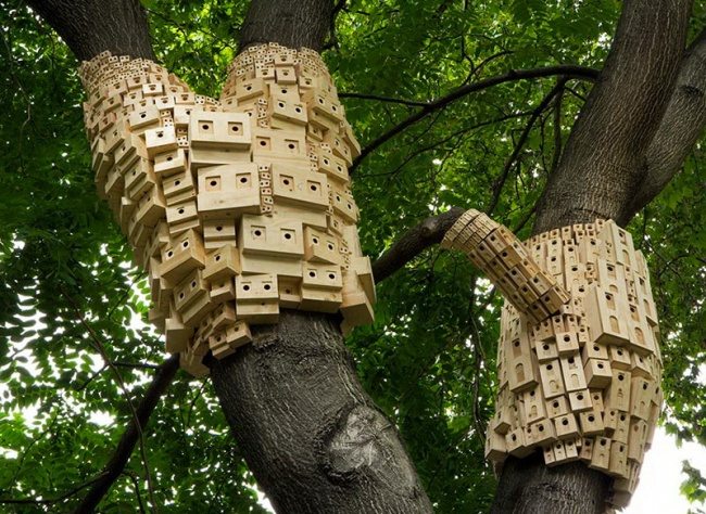 inventions-for-animals-3