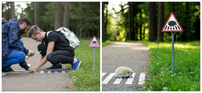 inventions-for-animals-8