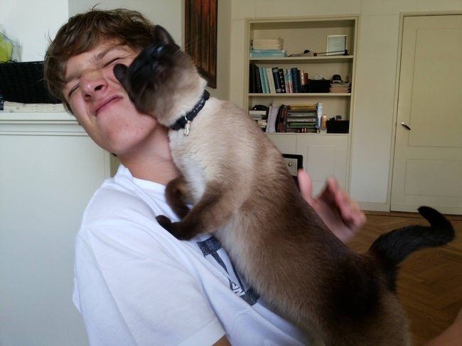 overly-attached-animals-5