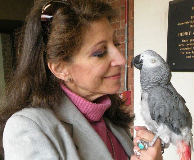 touching-stories-about-animals-4