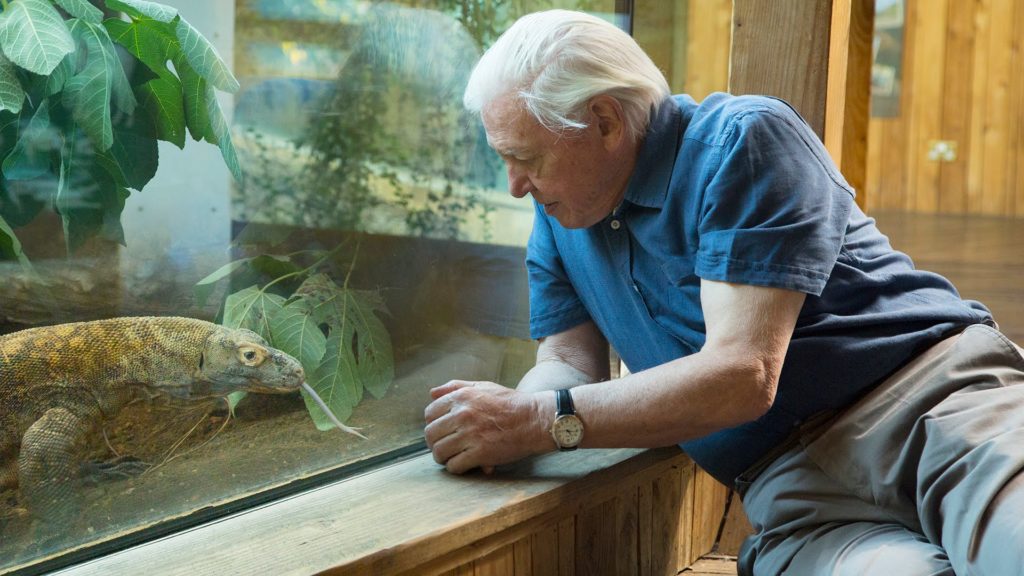 The British and Irish Association of Zoos and Aquariums