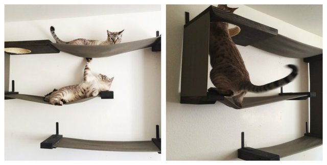 10-brilliant-products-for-your-pets