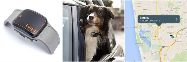 12-brilliant-products-for-your-pets