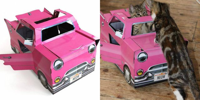 13-brilliant-products-for-your-pets