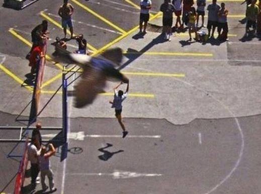 13-funny-animal-photos-taken-better-hilarious