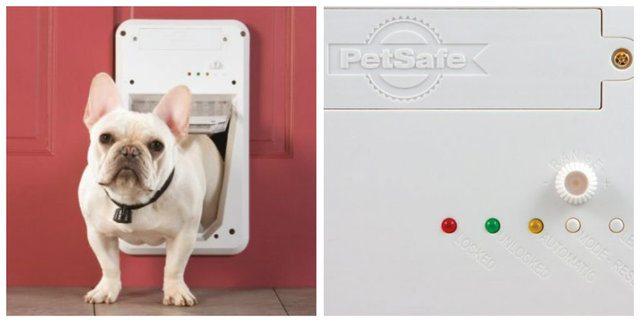 14-brilliant-products-for-your-pets