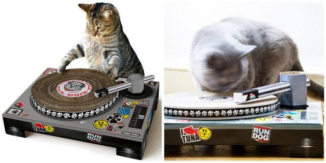 3-brilliant-products-for-your-pets