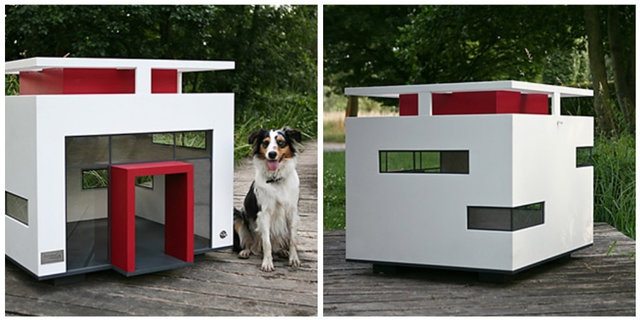 5-brilliant-products-for-your-pets