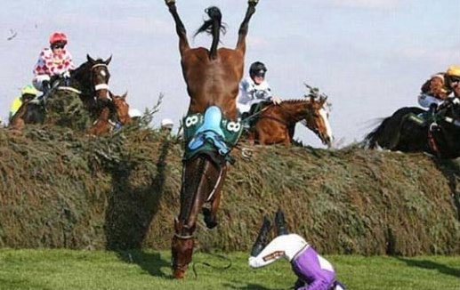 7-funny-animal-photos-taken-better-hilarious