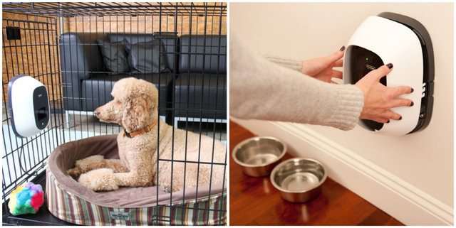 9-brilliant-products-for-your-pets