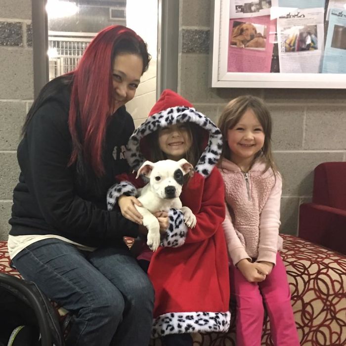 abandoned-brain-disorder-dog-4