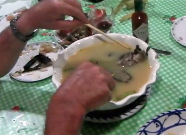 animals-eaten-alive-4