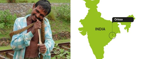 animals-eaten-alive-5