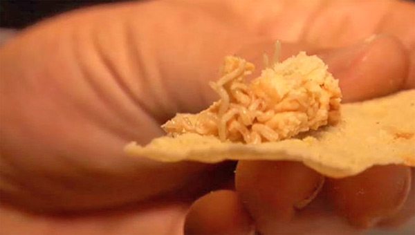 animals-eaten-alive-6