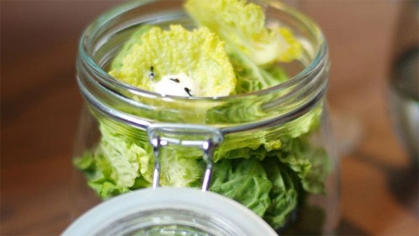 animals-eaten-alive-7