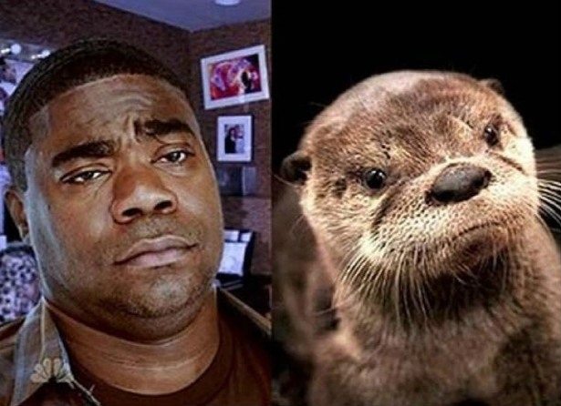 celebs-look-like-animals-10