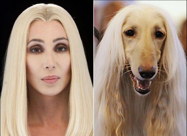 celebs-look-like-animals-2