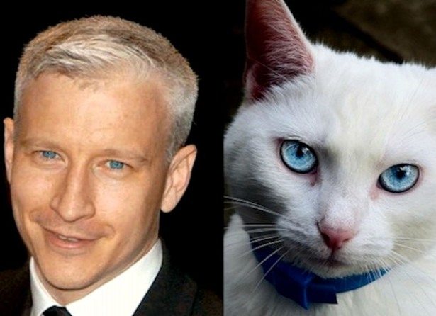 celebs-look-like-animals-3