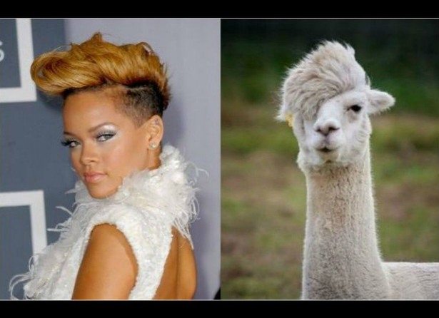 celebs-look-like-animals-4