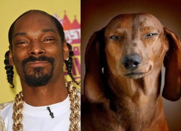 celebs-look-like-animals-5