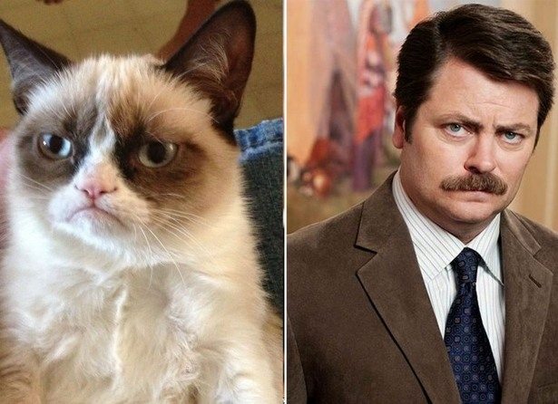 celebs-look-like-animals-7