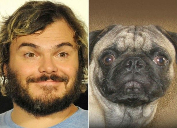 celebs-look-like-animals-8