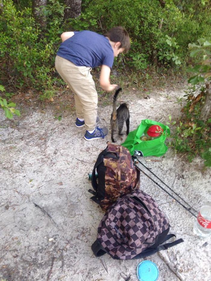 people-cared-stray-cat-1