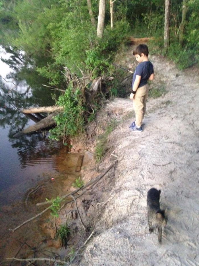 people-cared-stray-cat-3