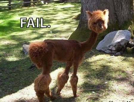 weird-animals-hairstyle-9