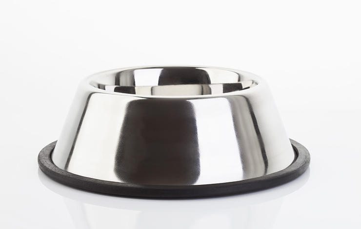 6-tips-dog-owner-health-beauty-help