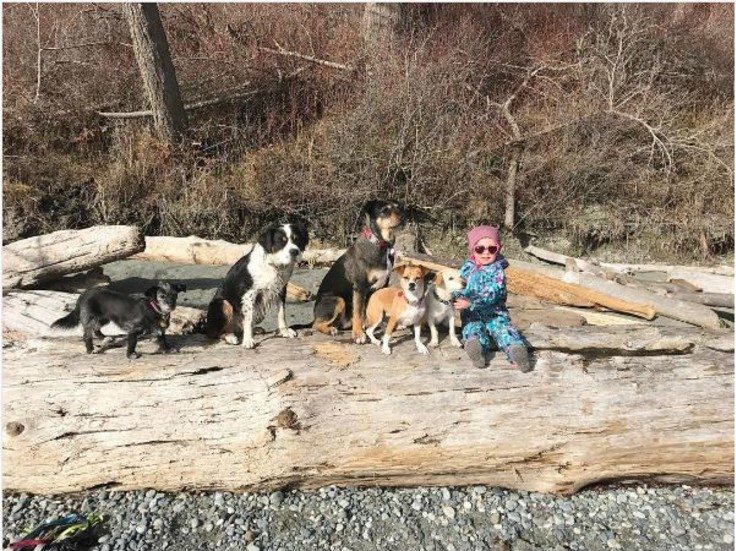 animal-babysitters-5