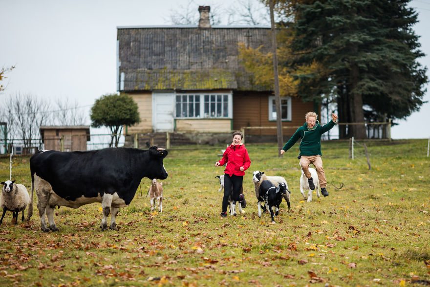 baltic-states-farm-4