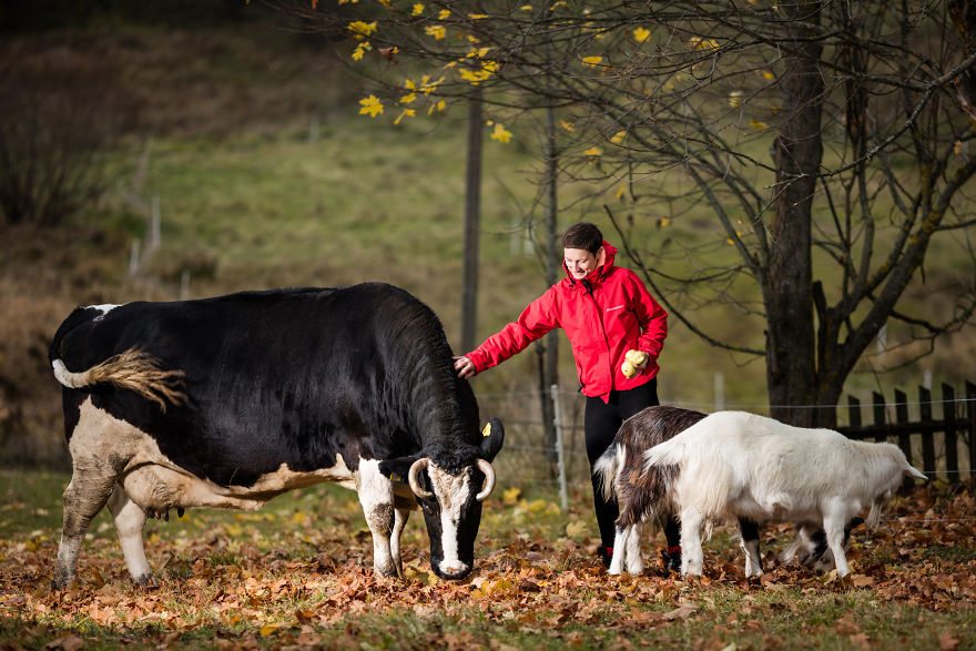 baltic-states-farm-6