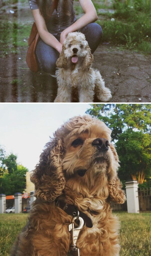 before-and-after-pics-3