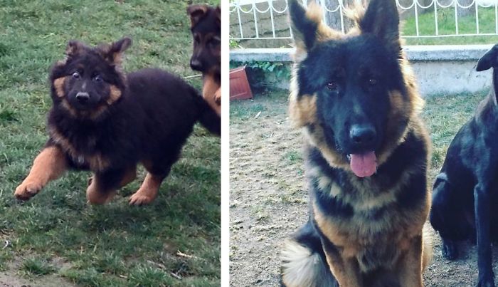 before-and-after-pics-6