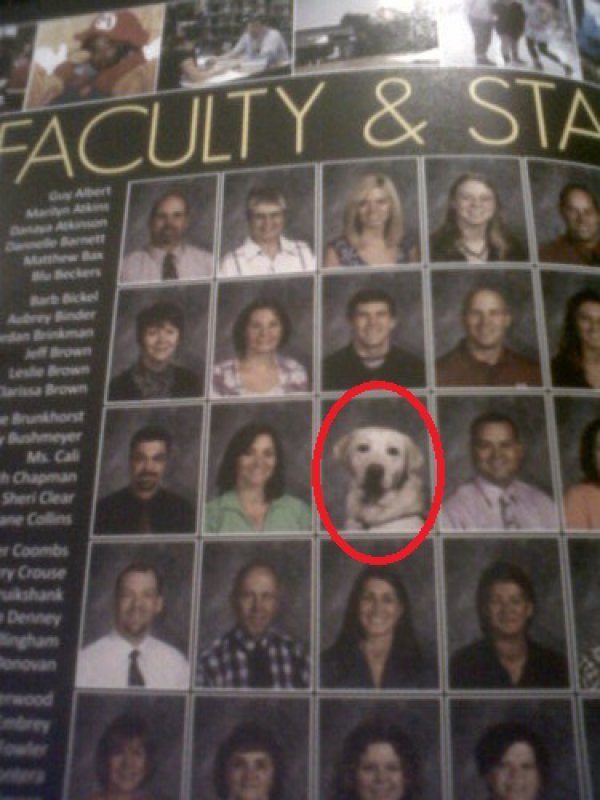 dog-in-school-pics-10