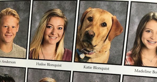 dog-in-school-pics-2