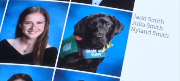 dog-in-school-pics-4