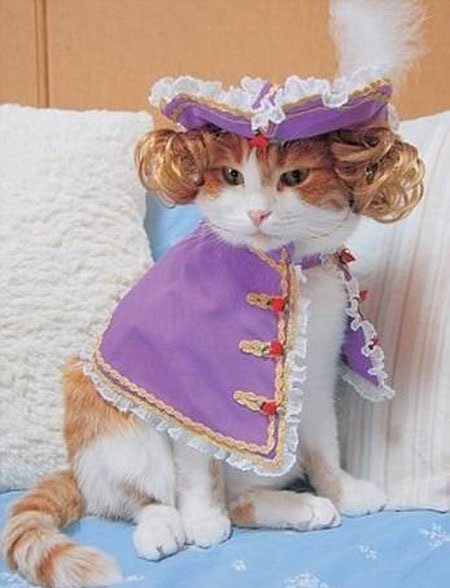 funny-animal-clothes-9