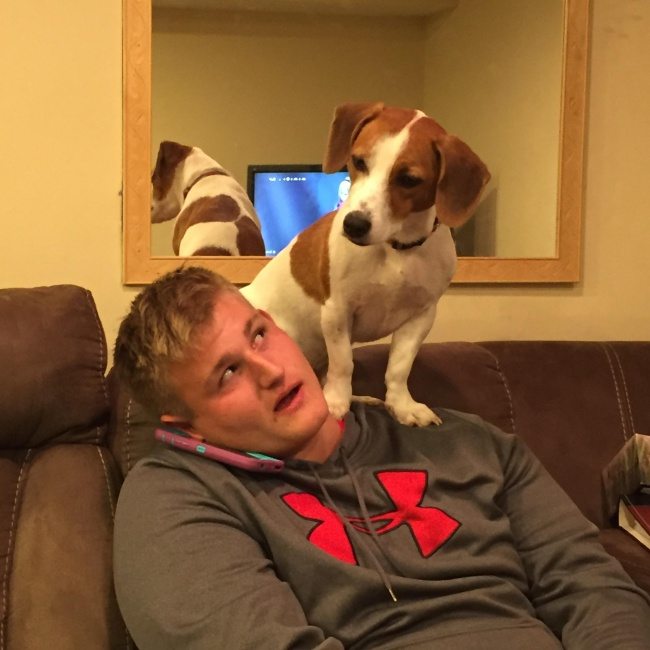 pets-loving-their-humans-7