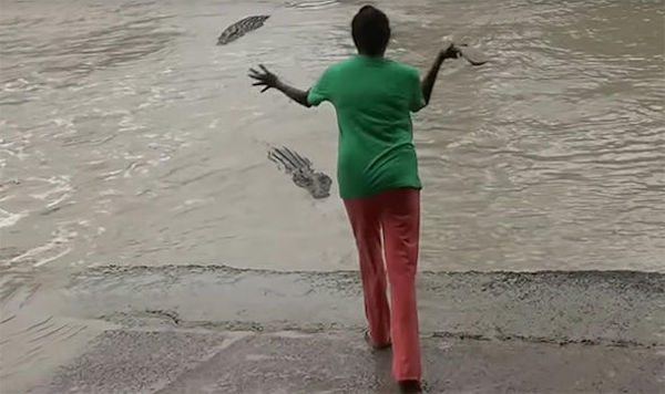 terrifying-animals-7