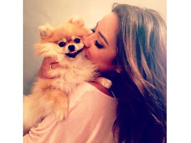 1-cutest-pets-hollywood